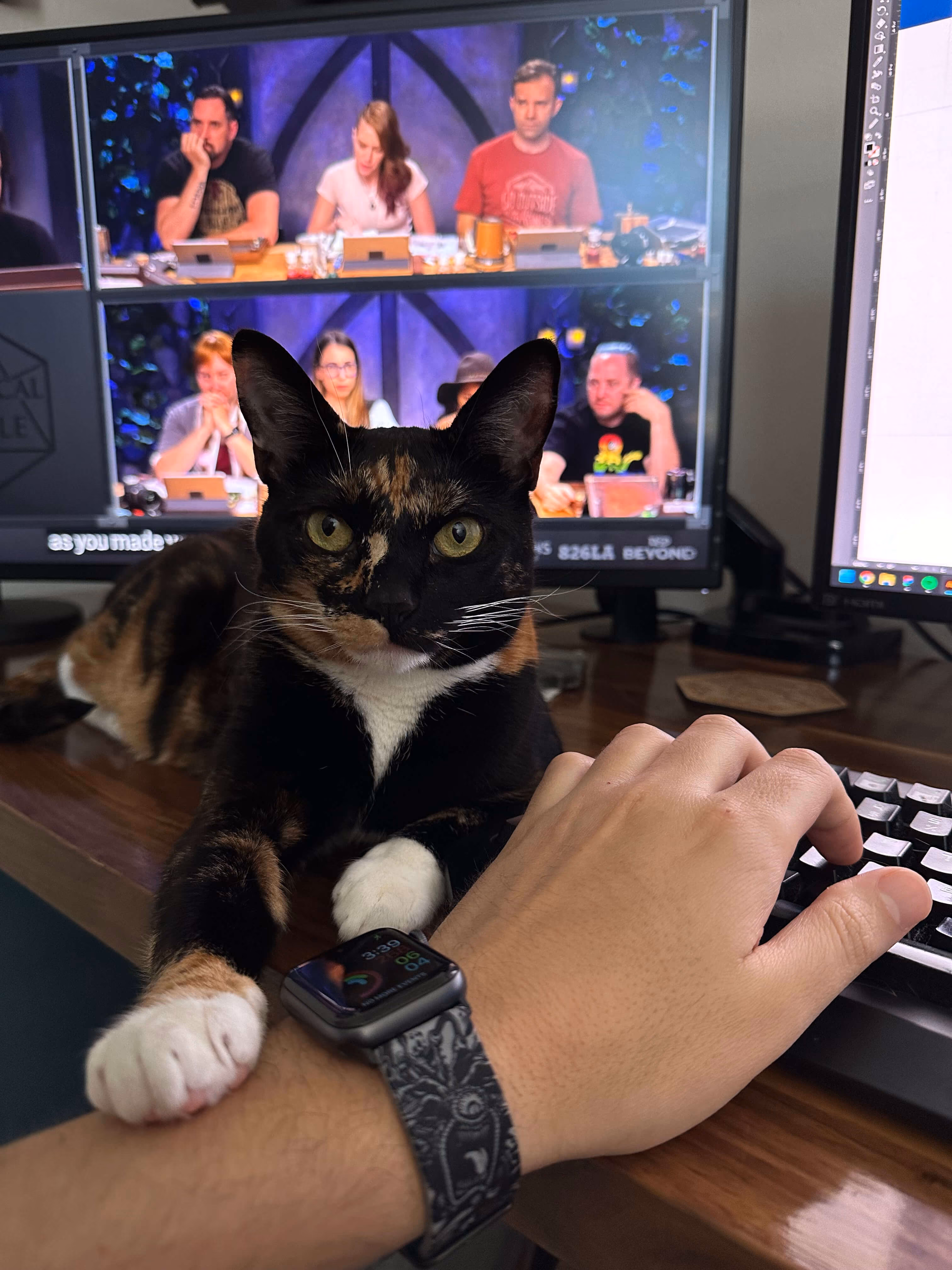 A tortoiseshell cat with white paws resting one paw on a person's wrist, who is typing on a keyboard, with two computer monitors in the background showing a group of people in a video call or streaming session.