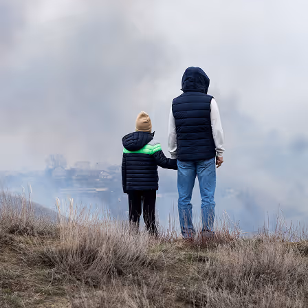 image of roof being repaired