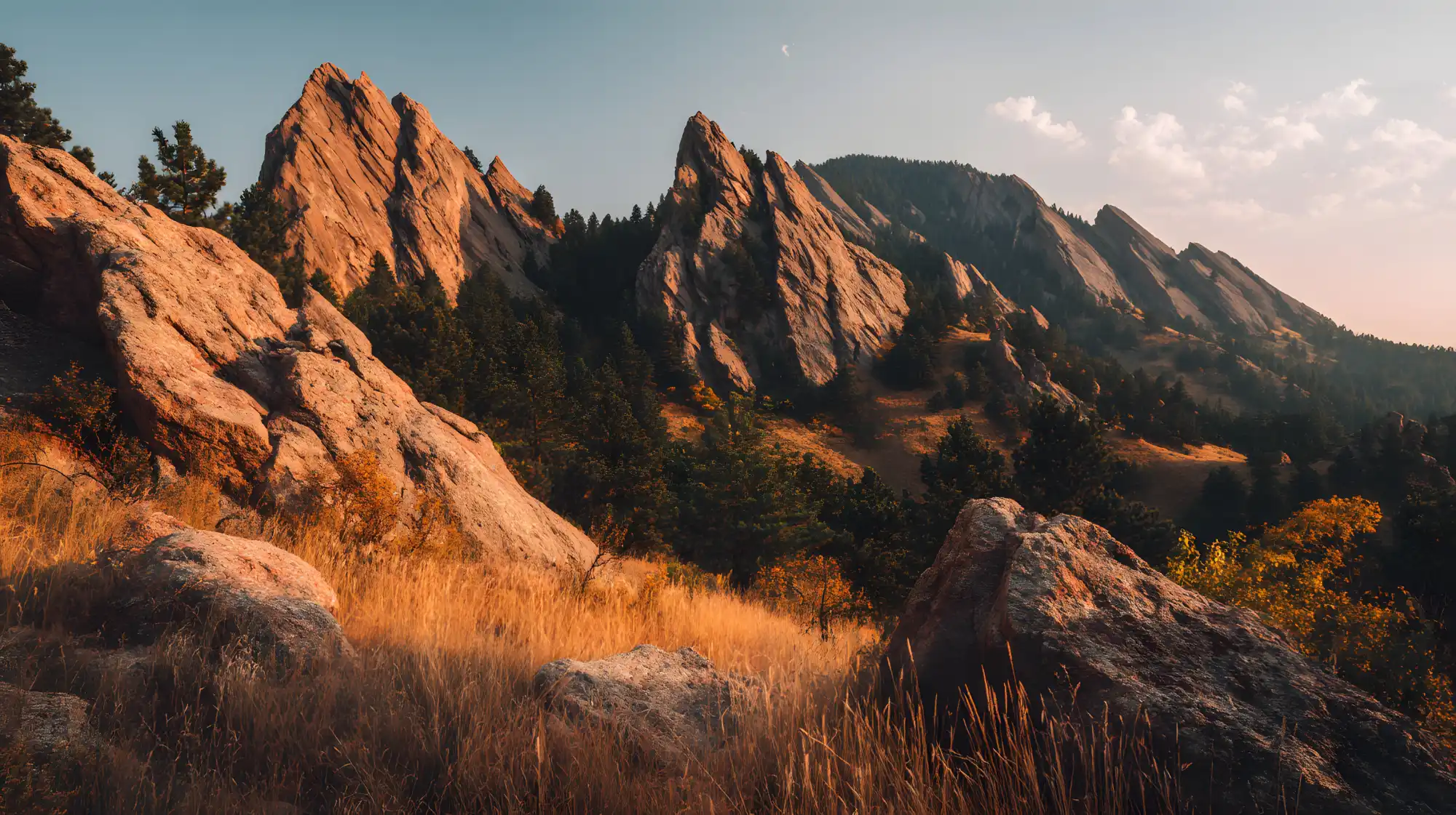 Jagged rocky mountain peaks with pine trees and golden grass illuminated by warm sunlight under a partly cloudy sky.