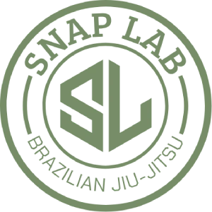 Snap Lab Academy