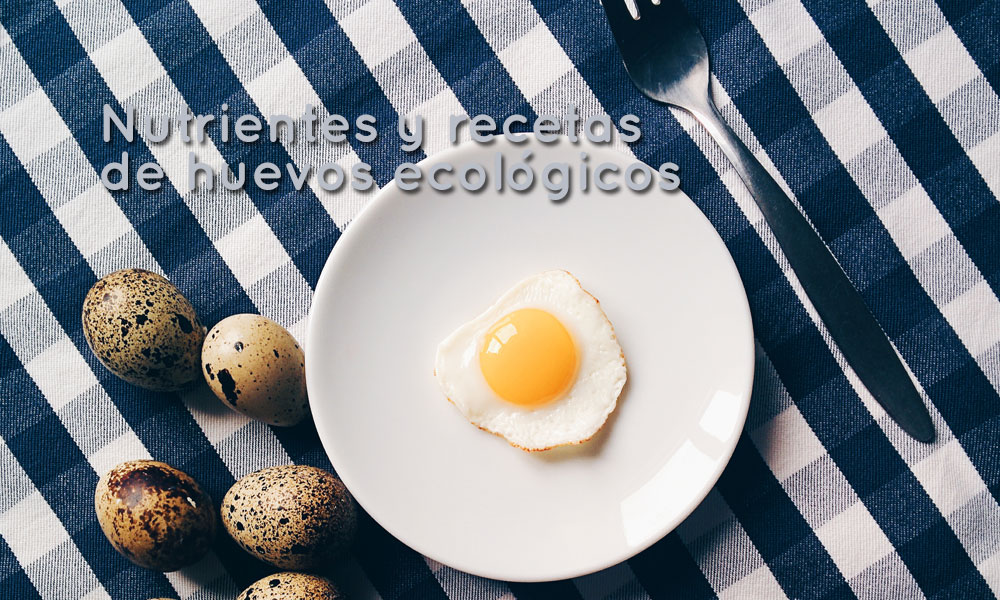 Tipos de huevos, sus nutrientes y cinco recetas con huevos ecológicos