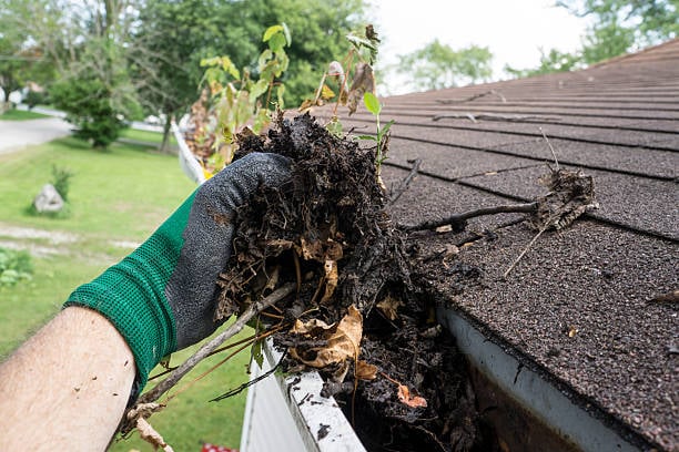 Person wearing a green glove cleaning accumulated dirt and leaves from a clogged roof gutter.