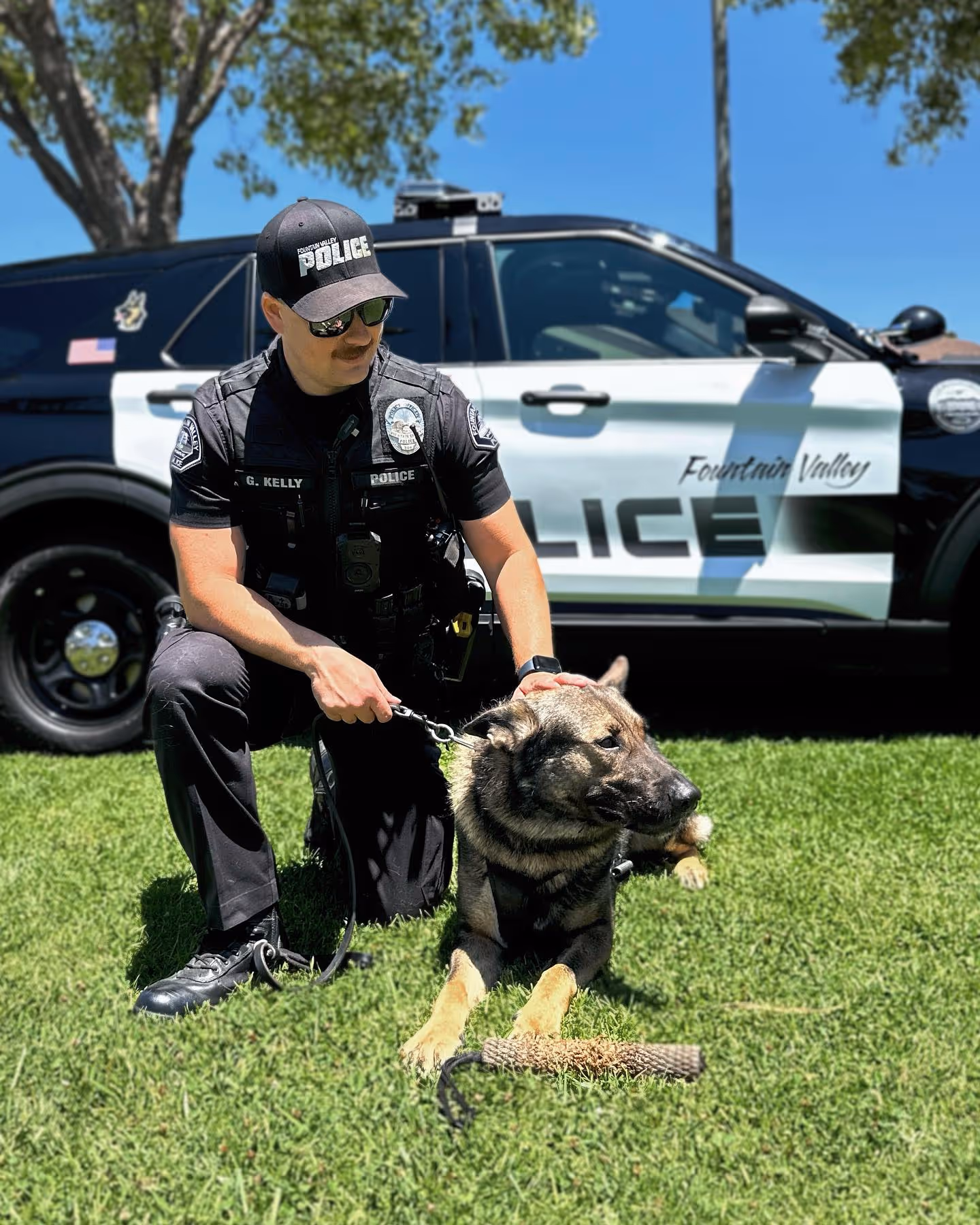 Police officer kneeling on grass next to a German Shepherd police dog in front of a Fourmain Valley police car.