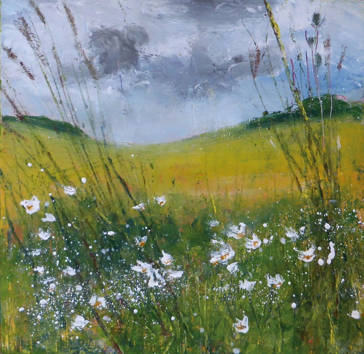 Wheat Field and Oxeye Daisies