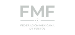 Federación Mexicana de Futbol