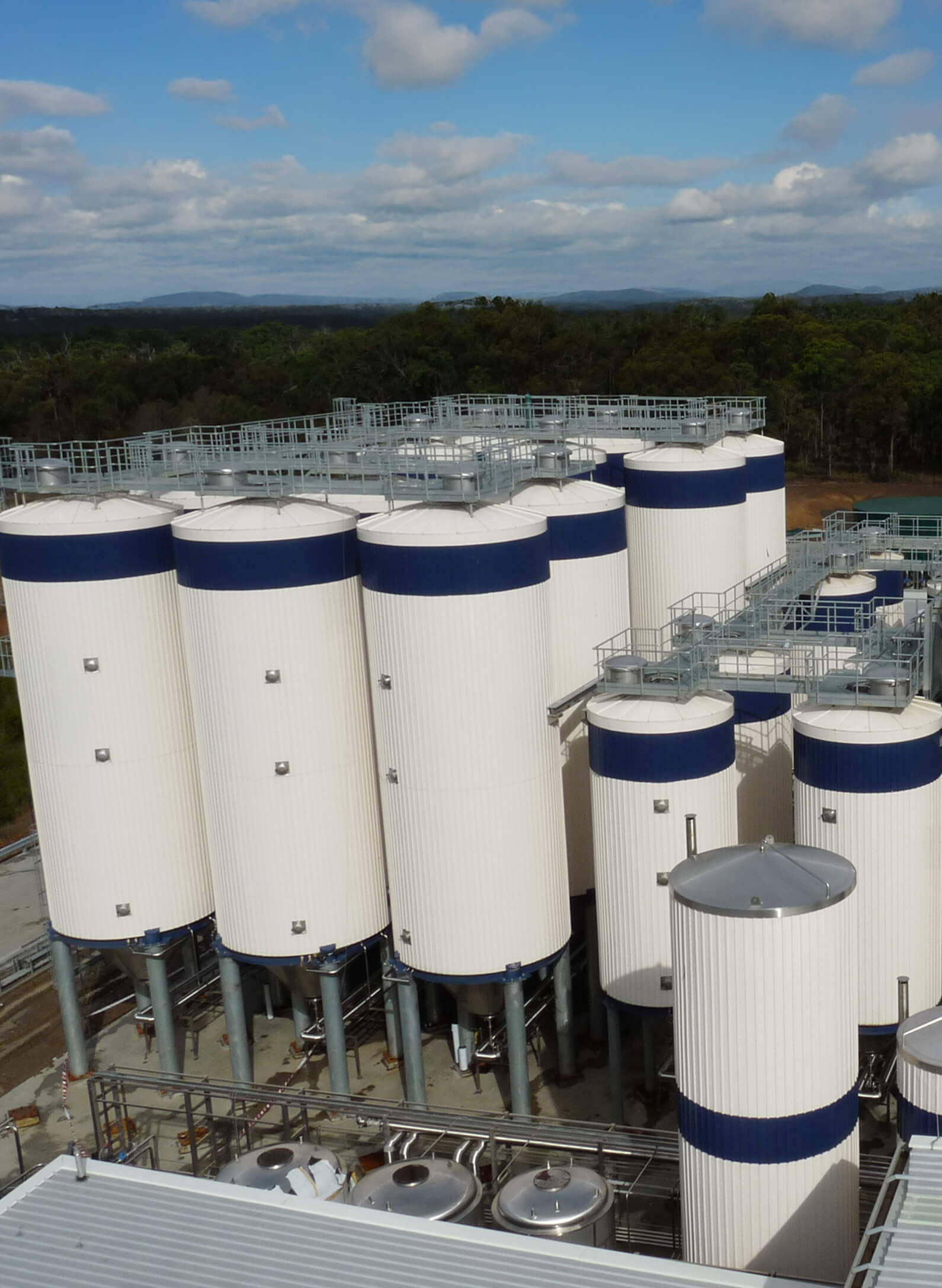 Blue Tongue Brewery Processing Facility