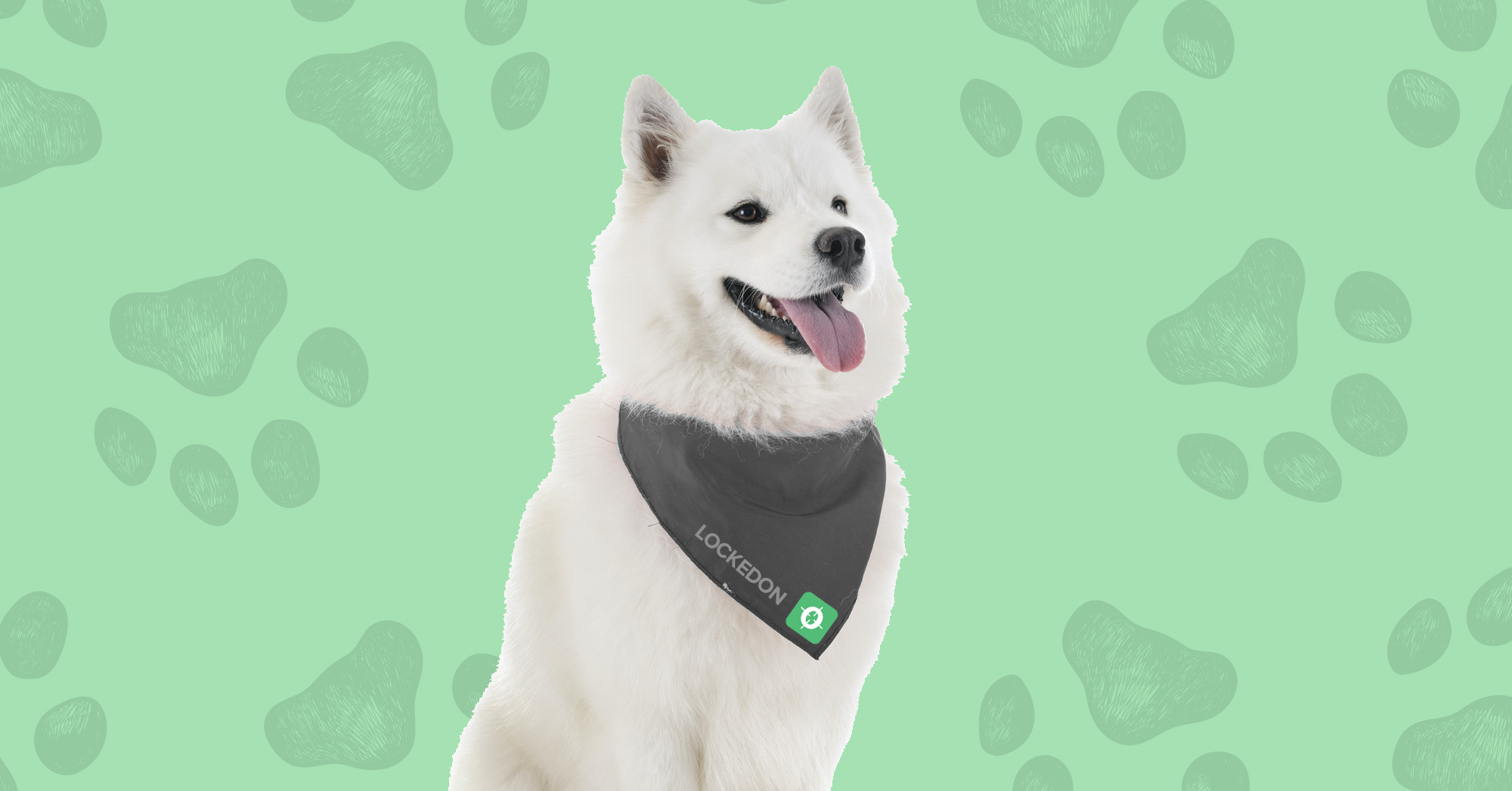 Introducing the LockedOn Doggo range