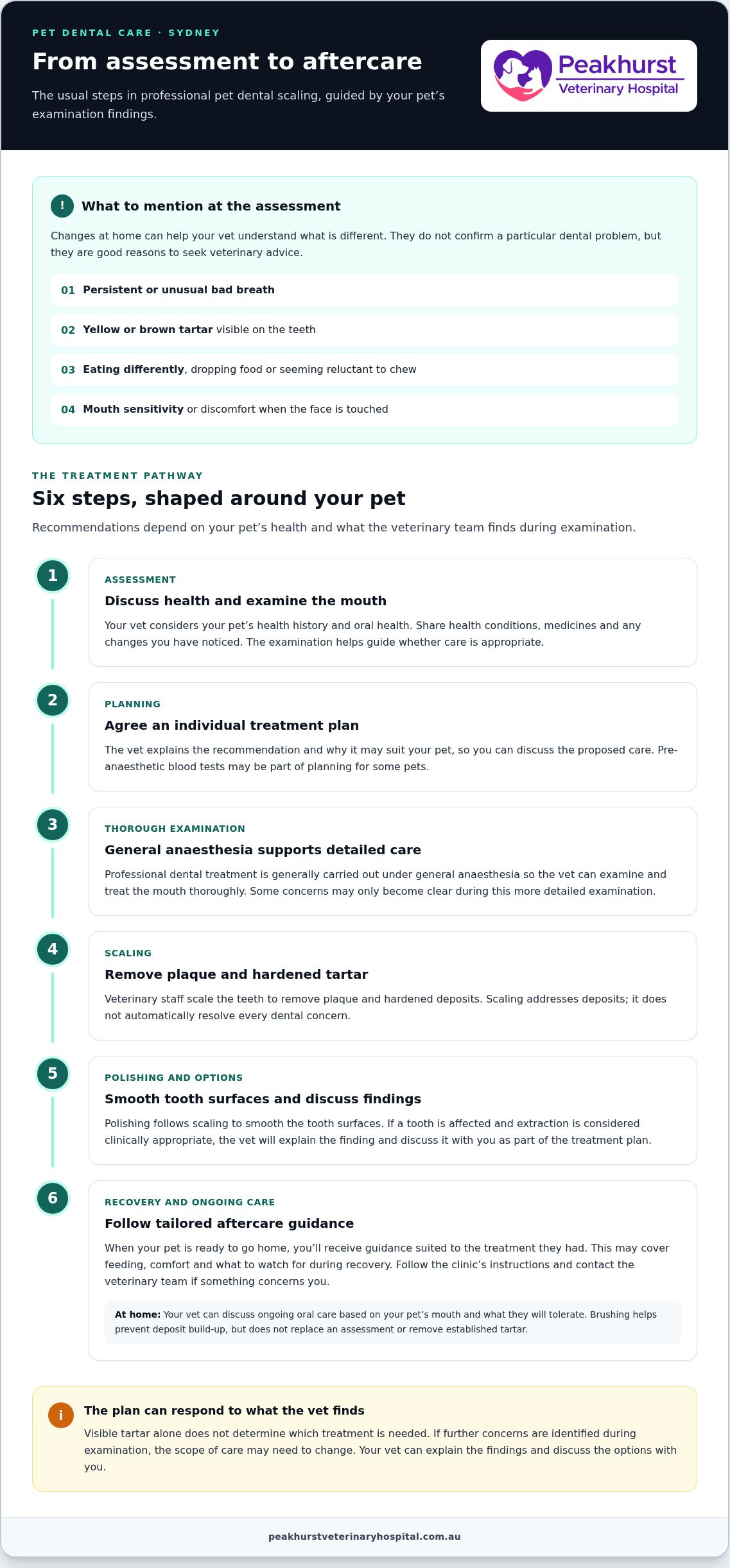 Pet dental scaling Sydney