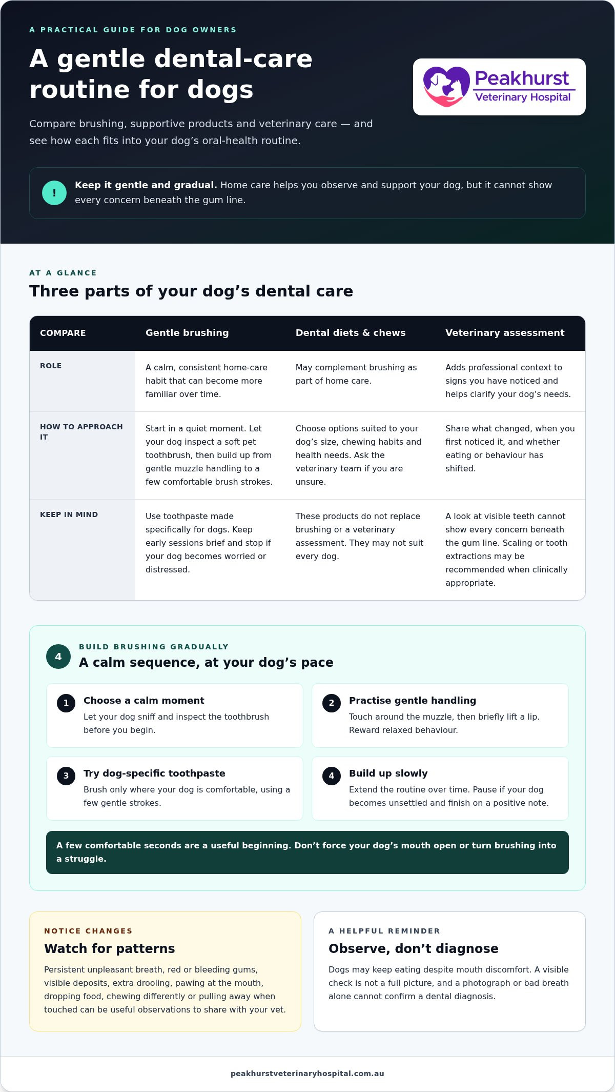 Dog dental care Peakhurst