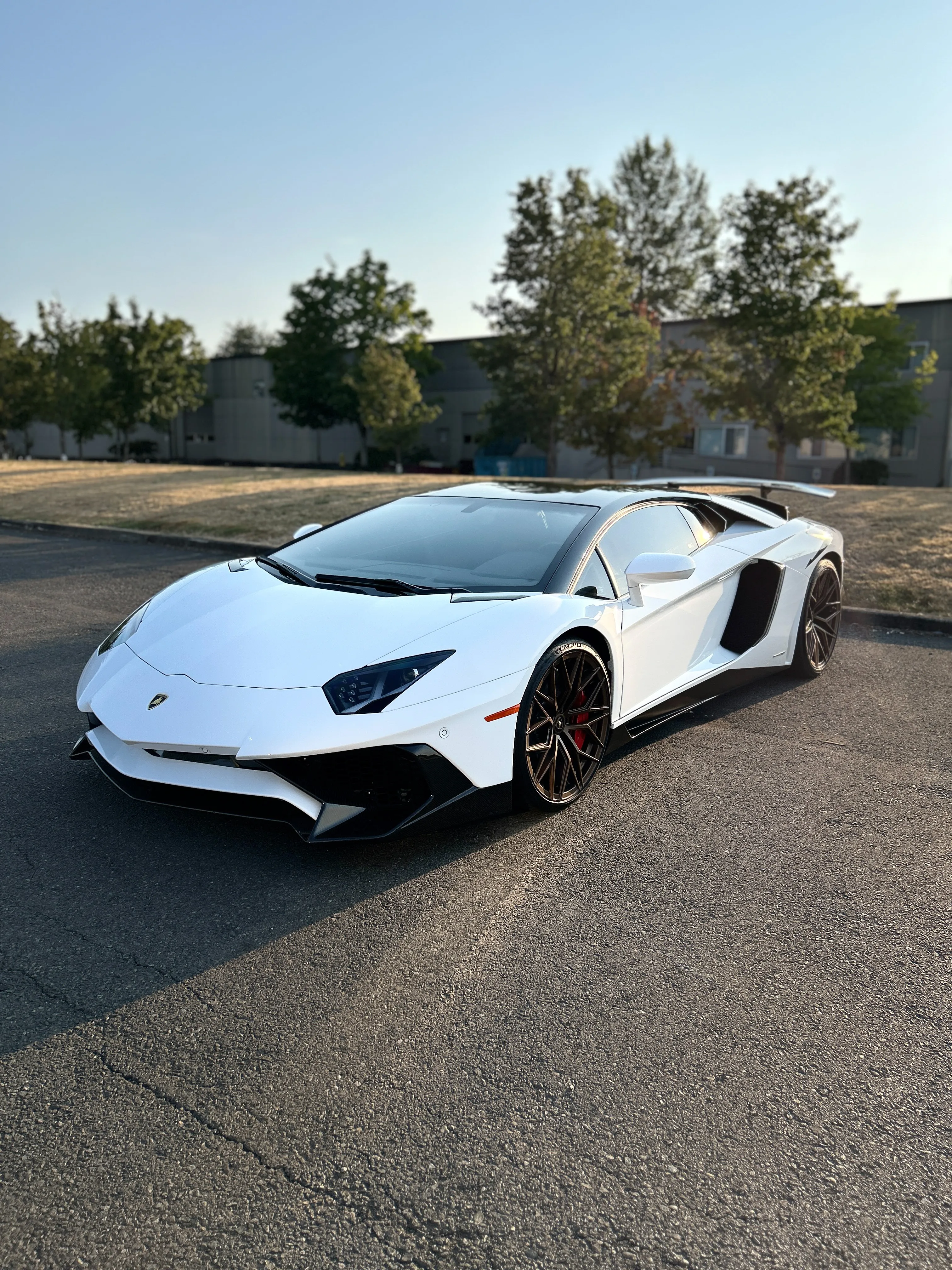 White Lamborghini Aventador after a detail by GAS Detailing, Auburn WA