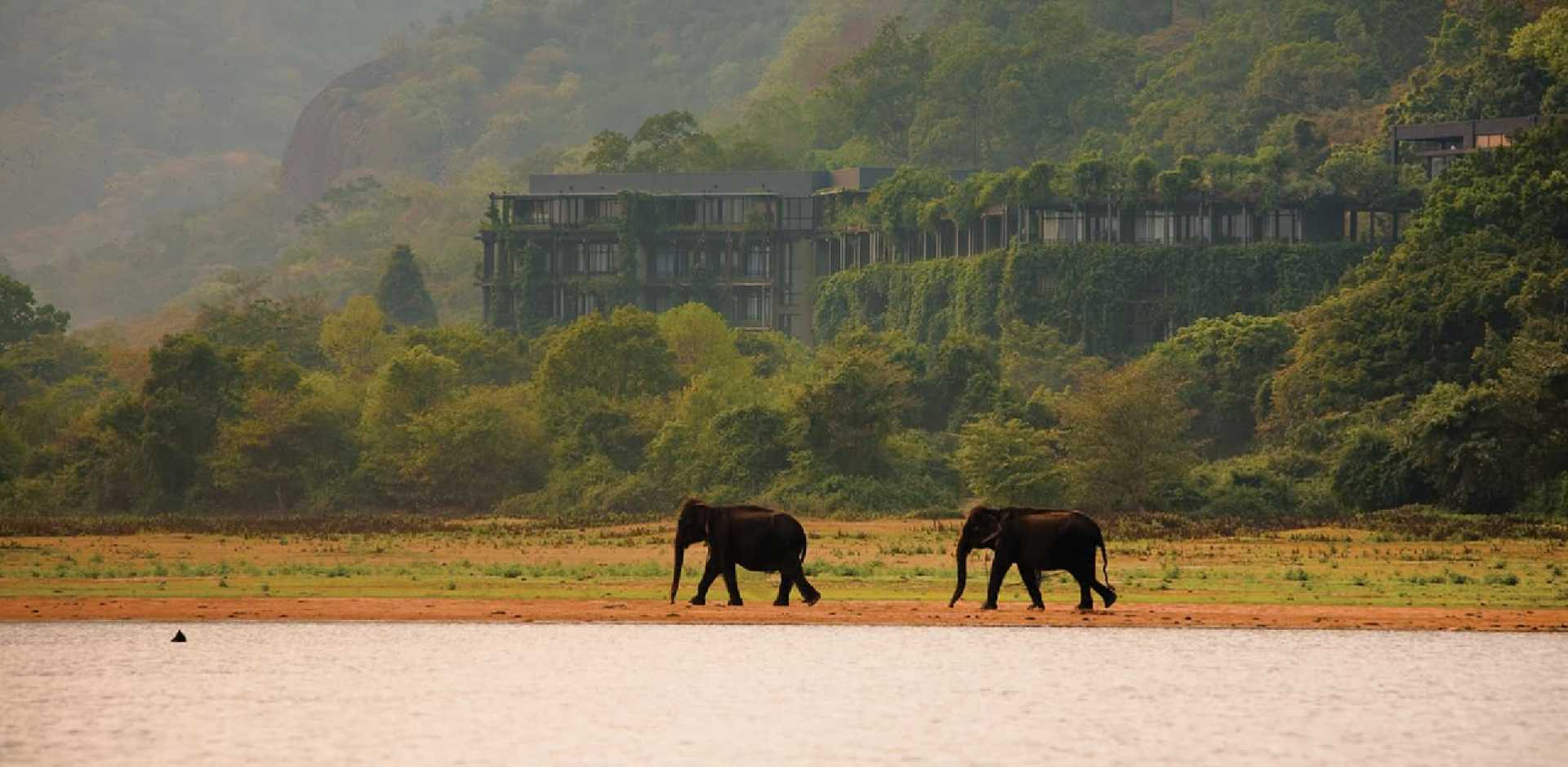 Featured Stays Image
