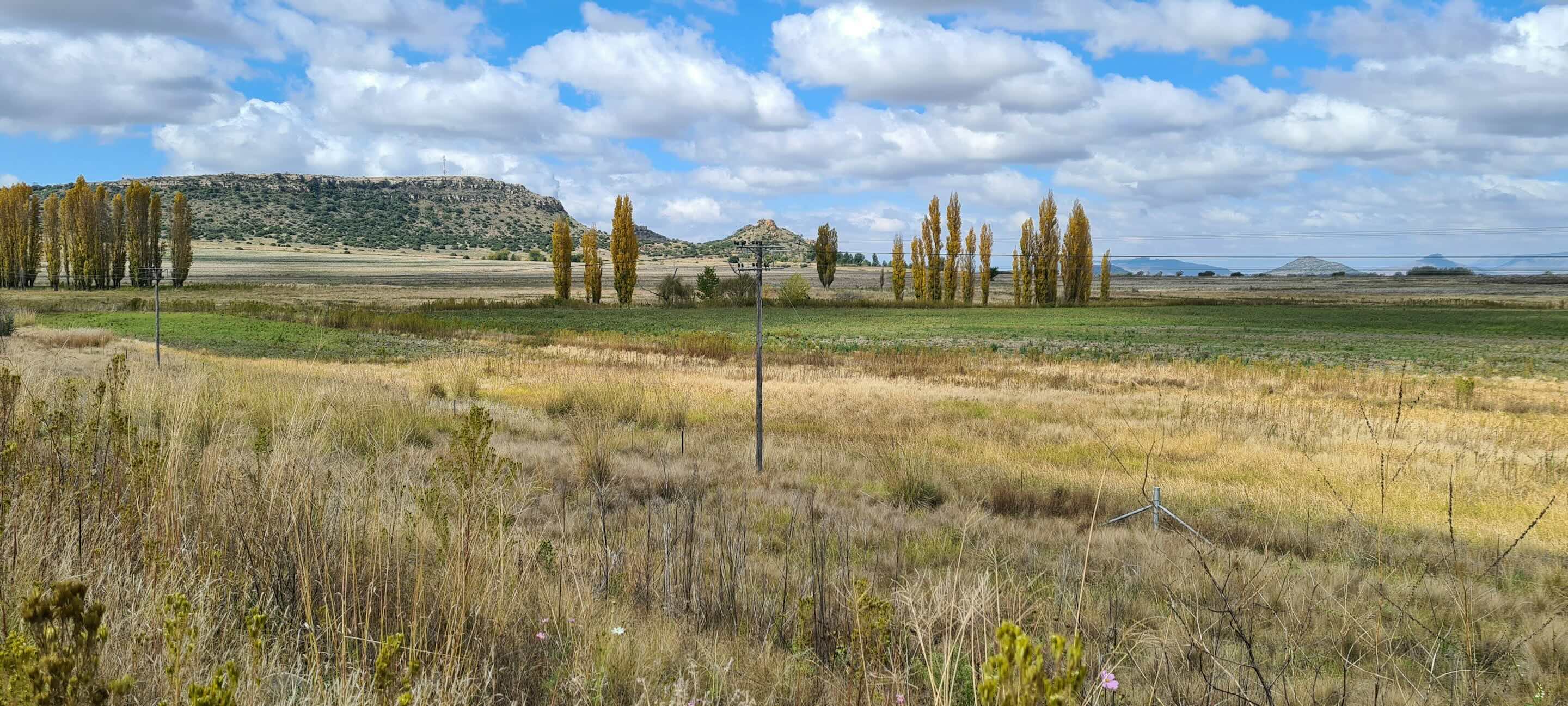 Expansive rural field with dry grass, scattered yellow-leaved trees, distant hills under a partly cloudy blue sky.