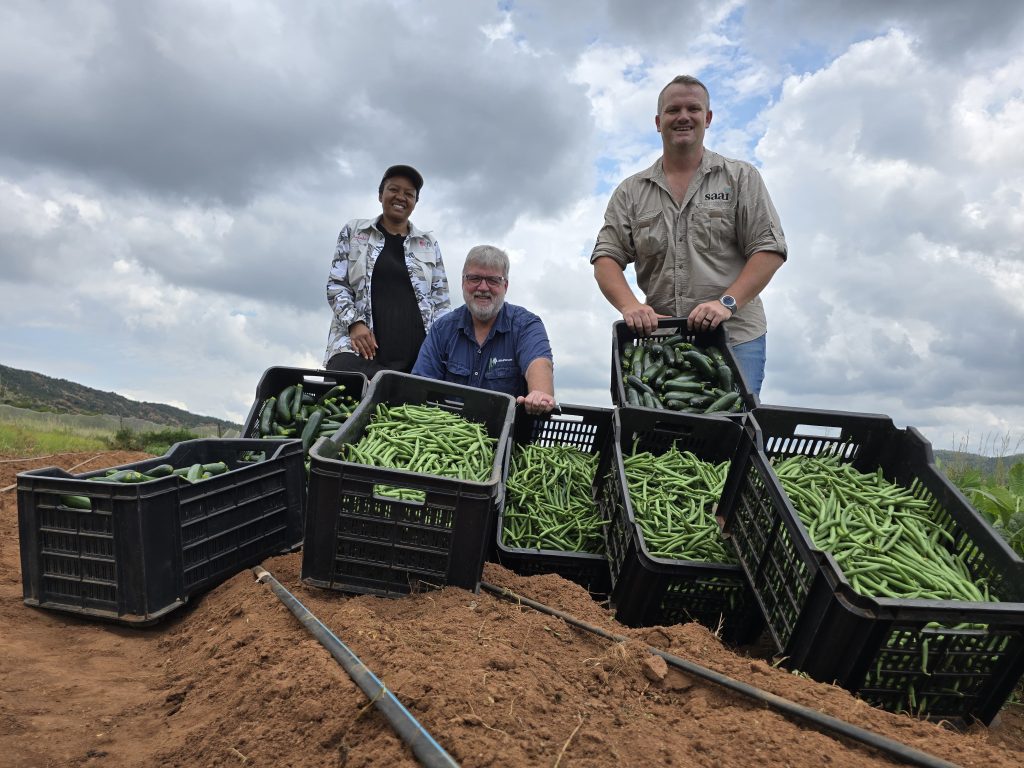 Joint Agricultural Development Project Celebrates First Harvest of 2026