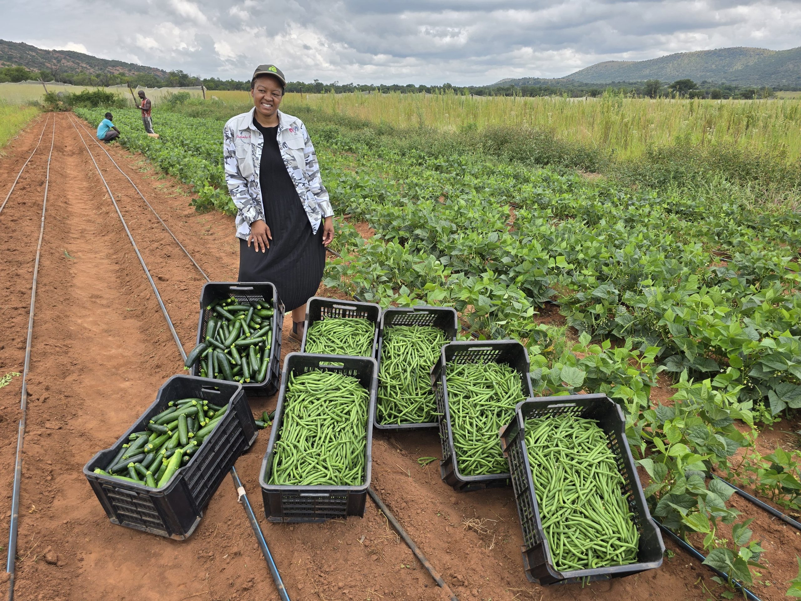 Joint Agricultural Development Project Celebrates First Harvest of 2026