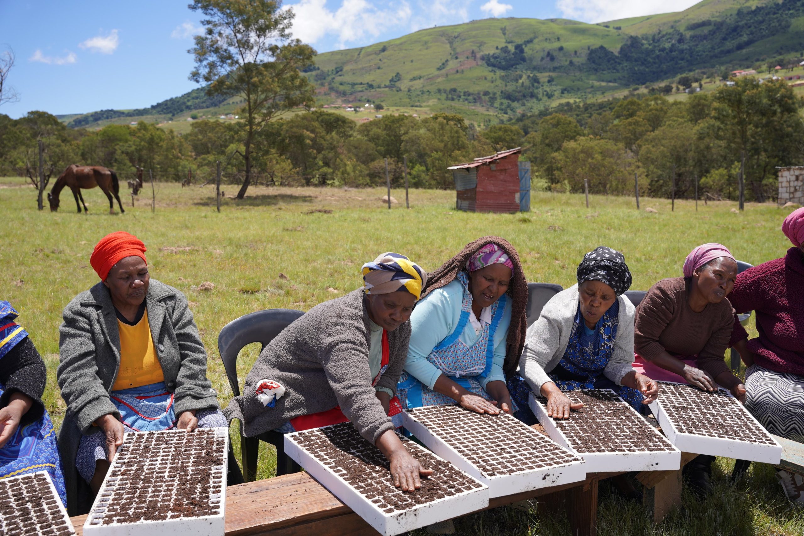 Saai, AfriForum the office of Nkosi Zweloxolo Stokwe, and the Adopt-A-Village Rural Food Security Initiative