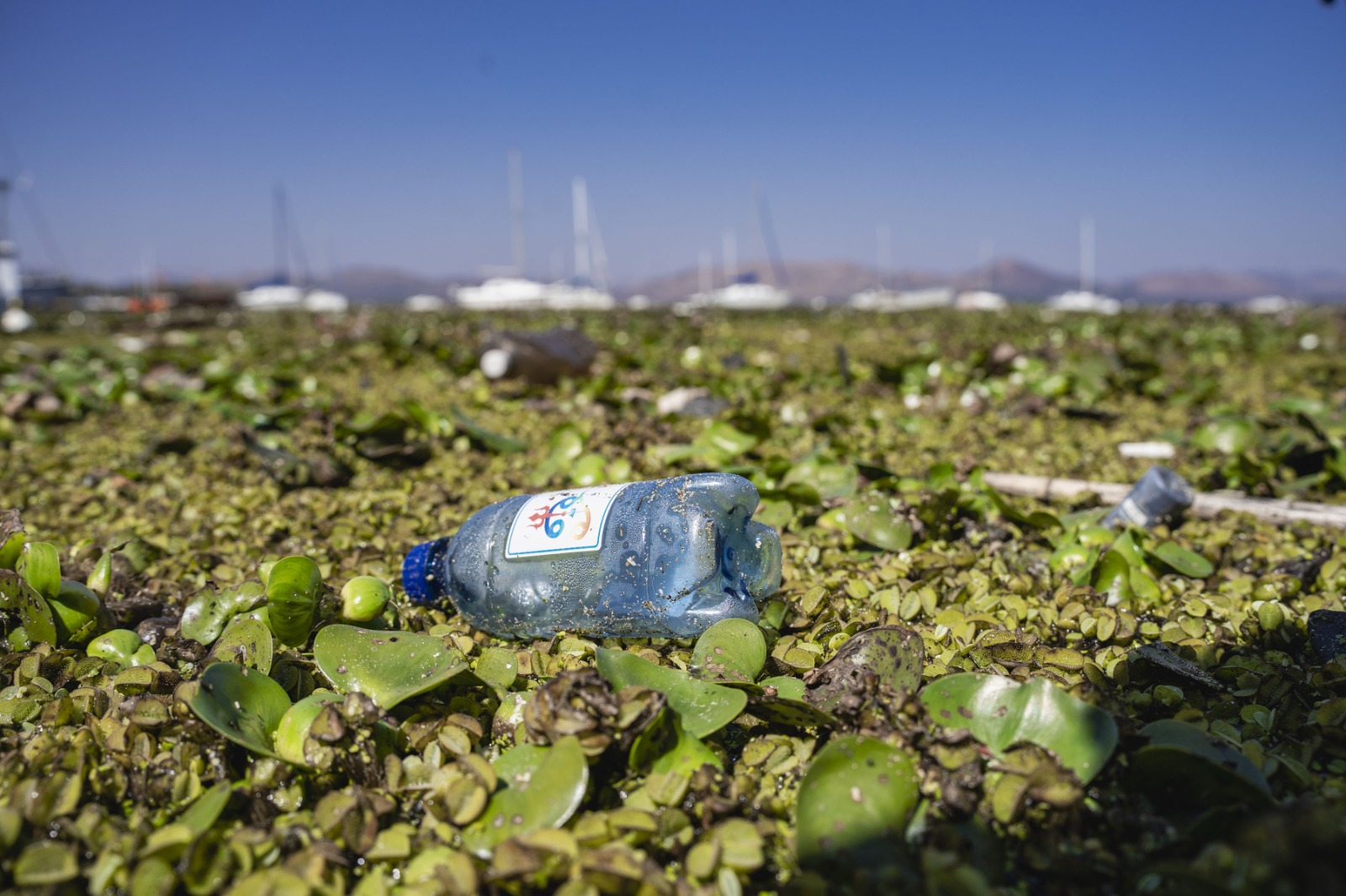 Saai calls for urgent verification and accountability over reported Hartbeespoort Dam pollution