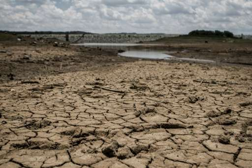 Saai calls for early preparation as drought risk threatens South Africa’s 2026–27 planting season.