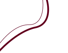 Abstract minimalist design with two curved lines, one black and one dark red, on a transparent background.