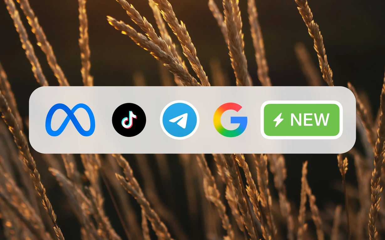 10 обновлений в онлайн рекламе за август, которые повысят ваш ROI