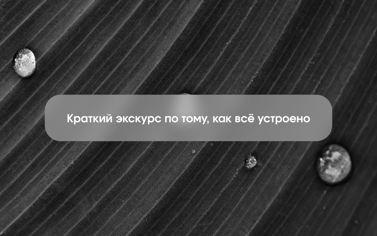 Обзор возможностей Aitarget