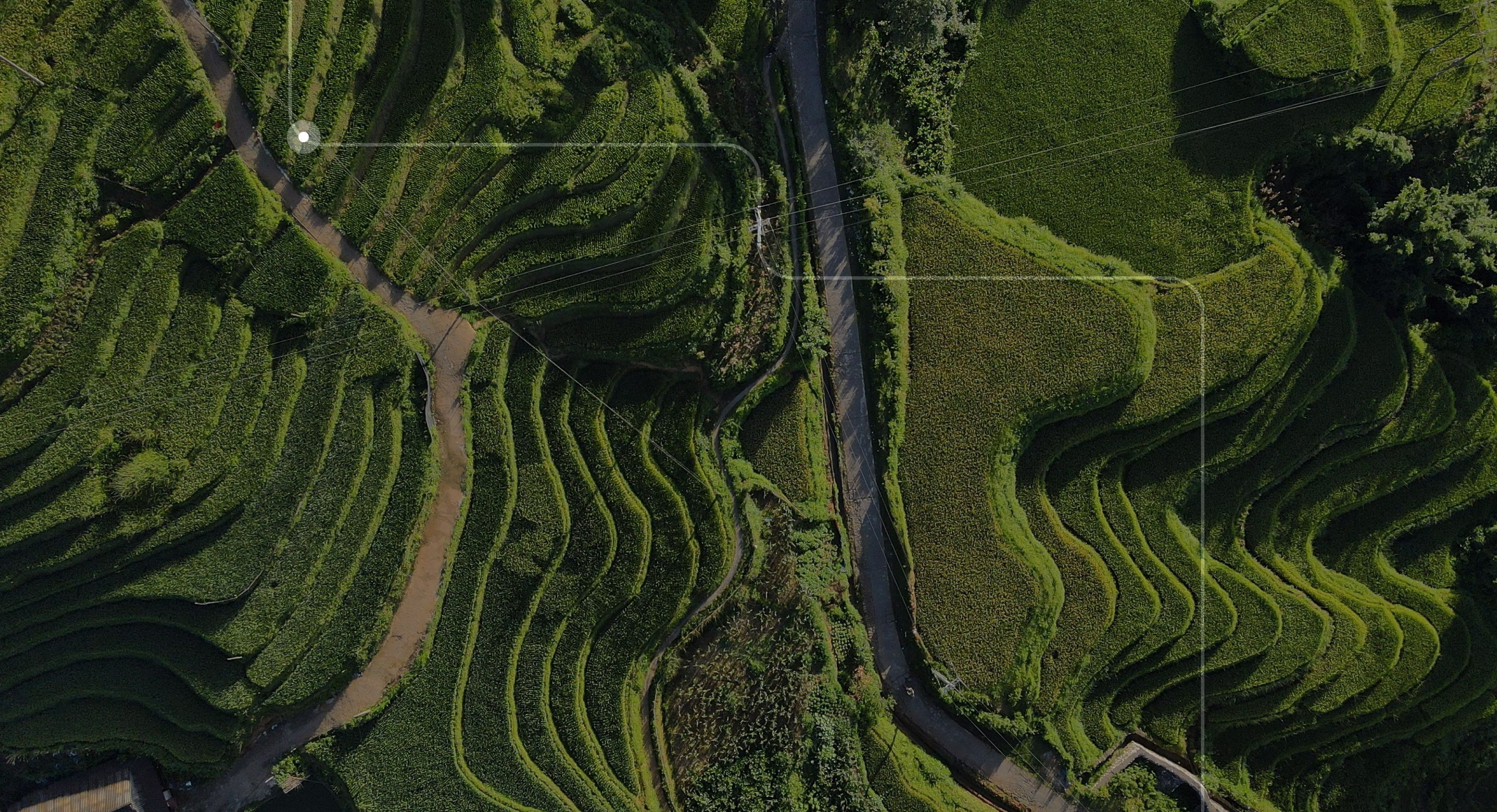 Aerial view of green terraced rice fields with paths and a narrow road in between.