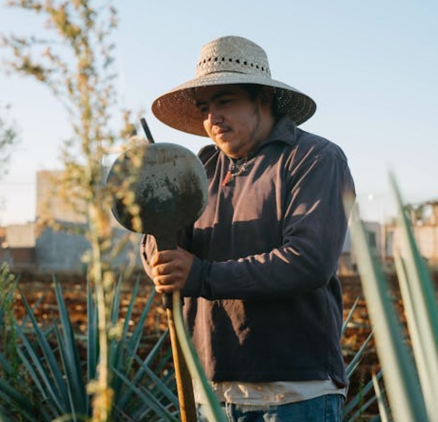Man in a straw hat holding a tool in a field with plants under a clear sky.
