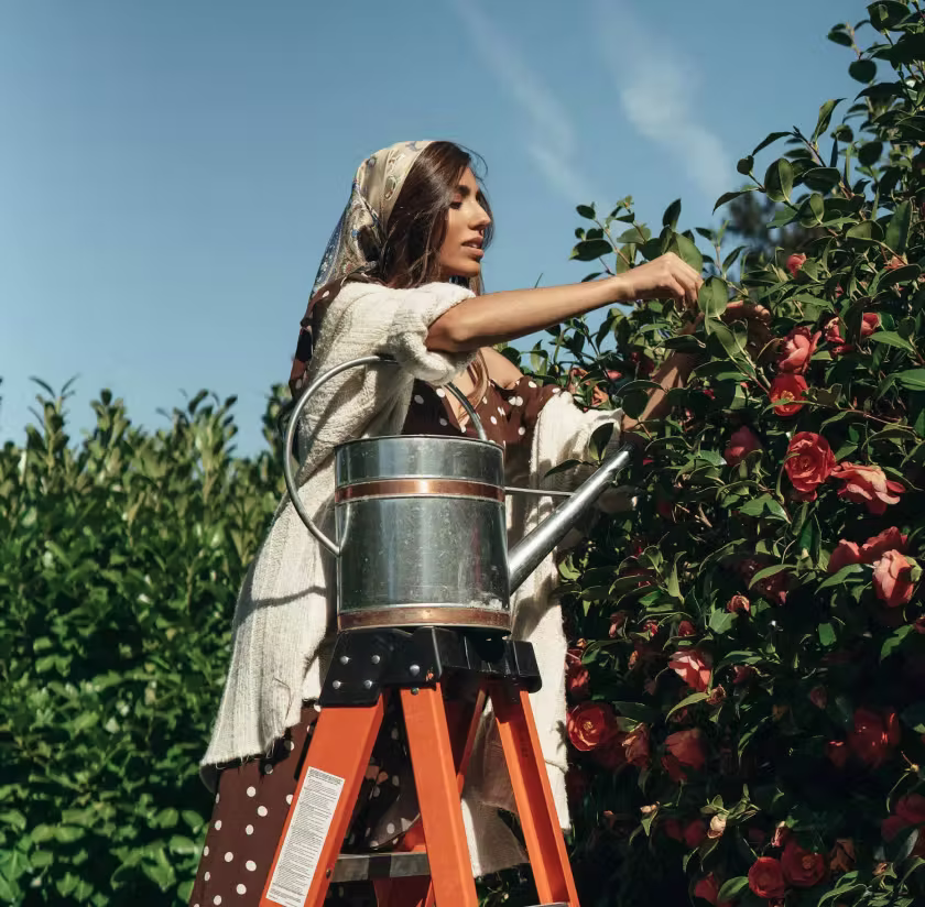 Woman on ladder picking flowers from a bush under a clear blue sky.