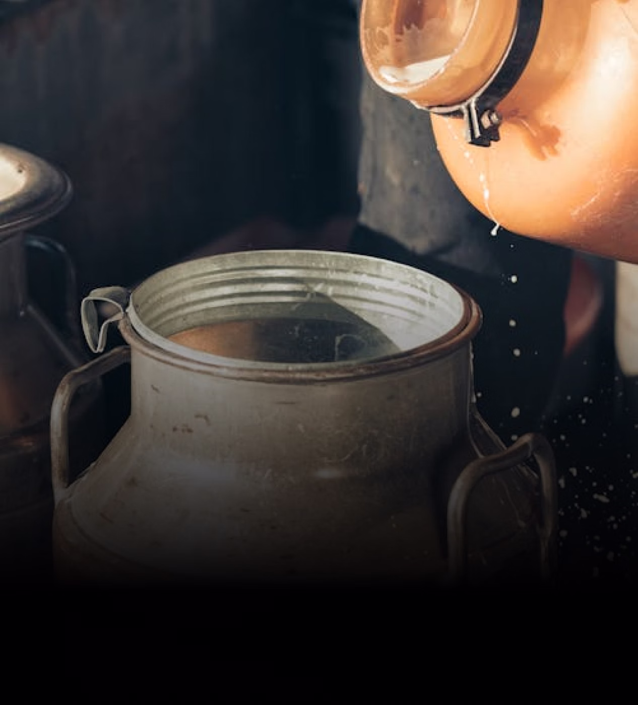 Milk pouring from a container into a large metal milk can in a dairy setting.