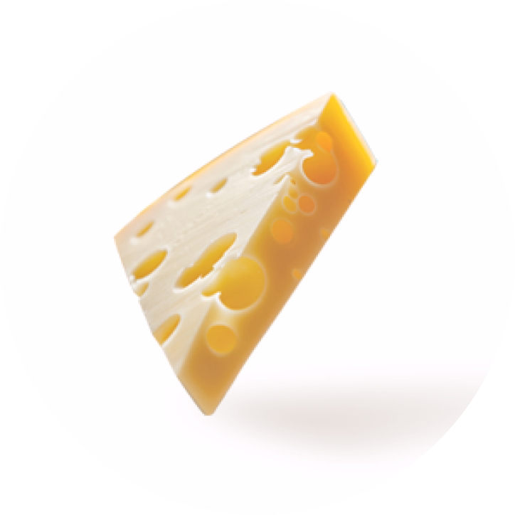 Wedge of Swiss cheese with distinctive holes on a white background.
