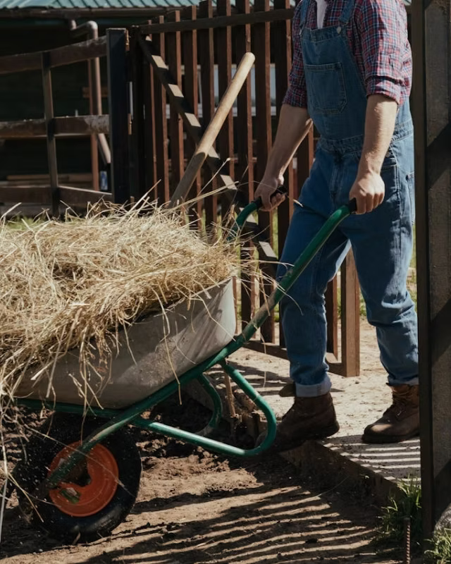 Person in plaid shirt and overalls pushing wheelbarrow full of hay near a wooden gate on a farm.