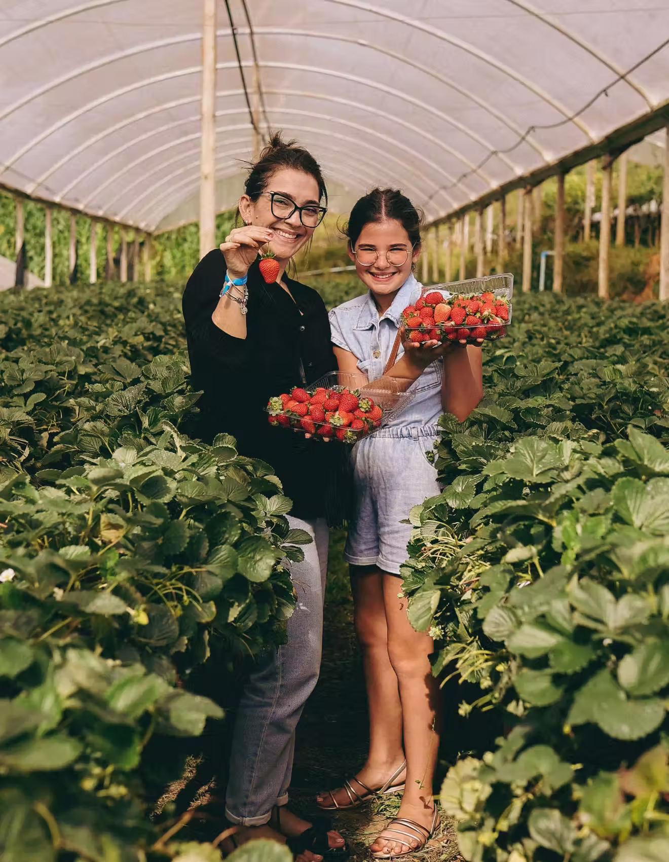 Two women smiling and holding baskets of fresh strawberries in a greenhouse strawberry farm.