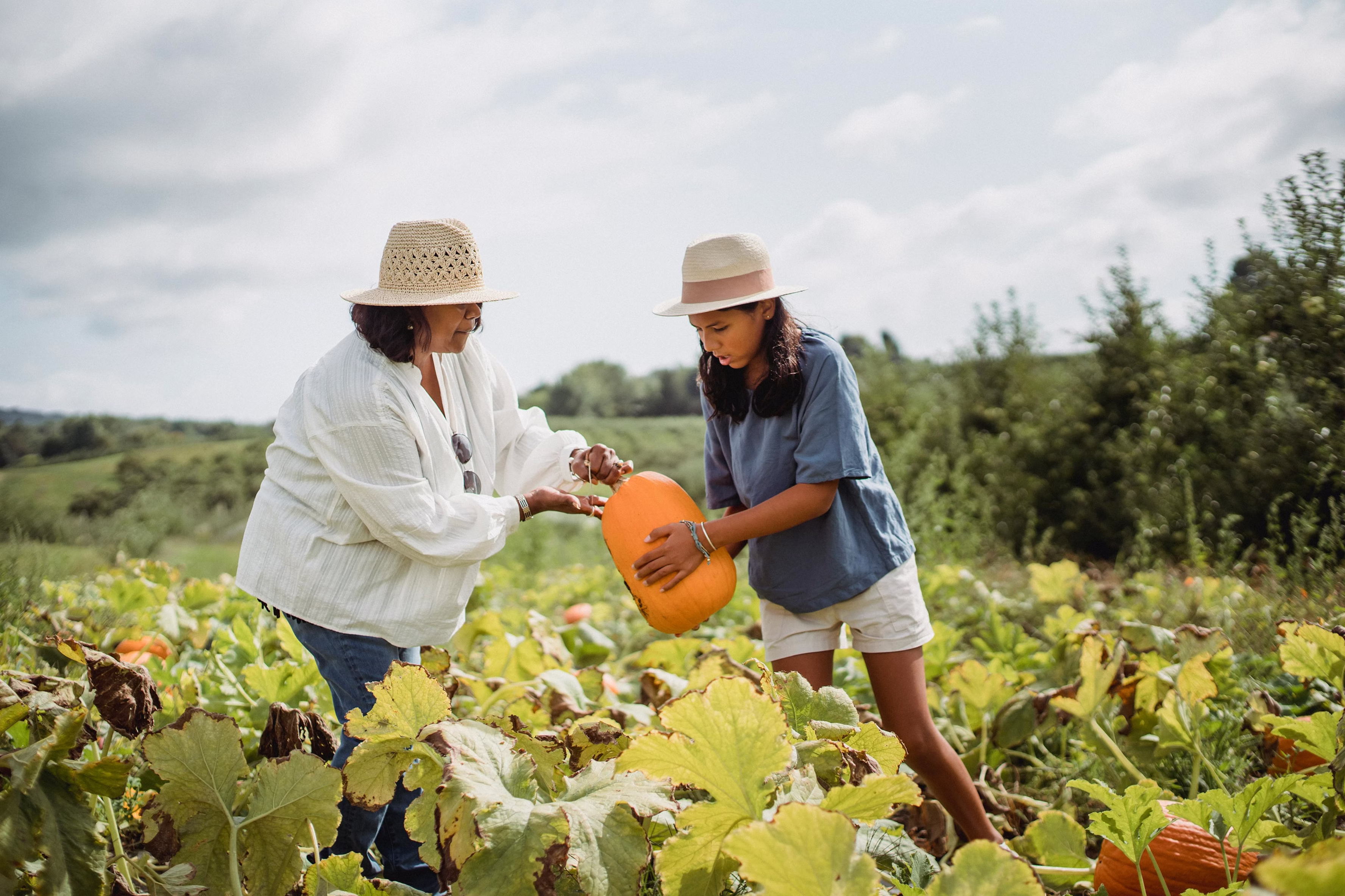 Two women in hats holding a large pumpkin together in a field of green plants.