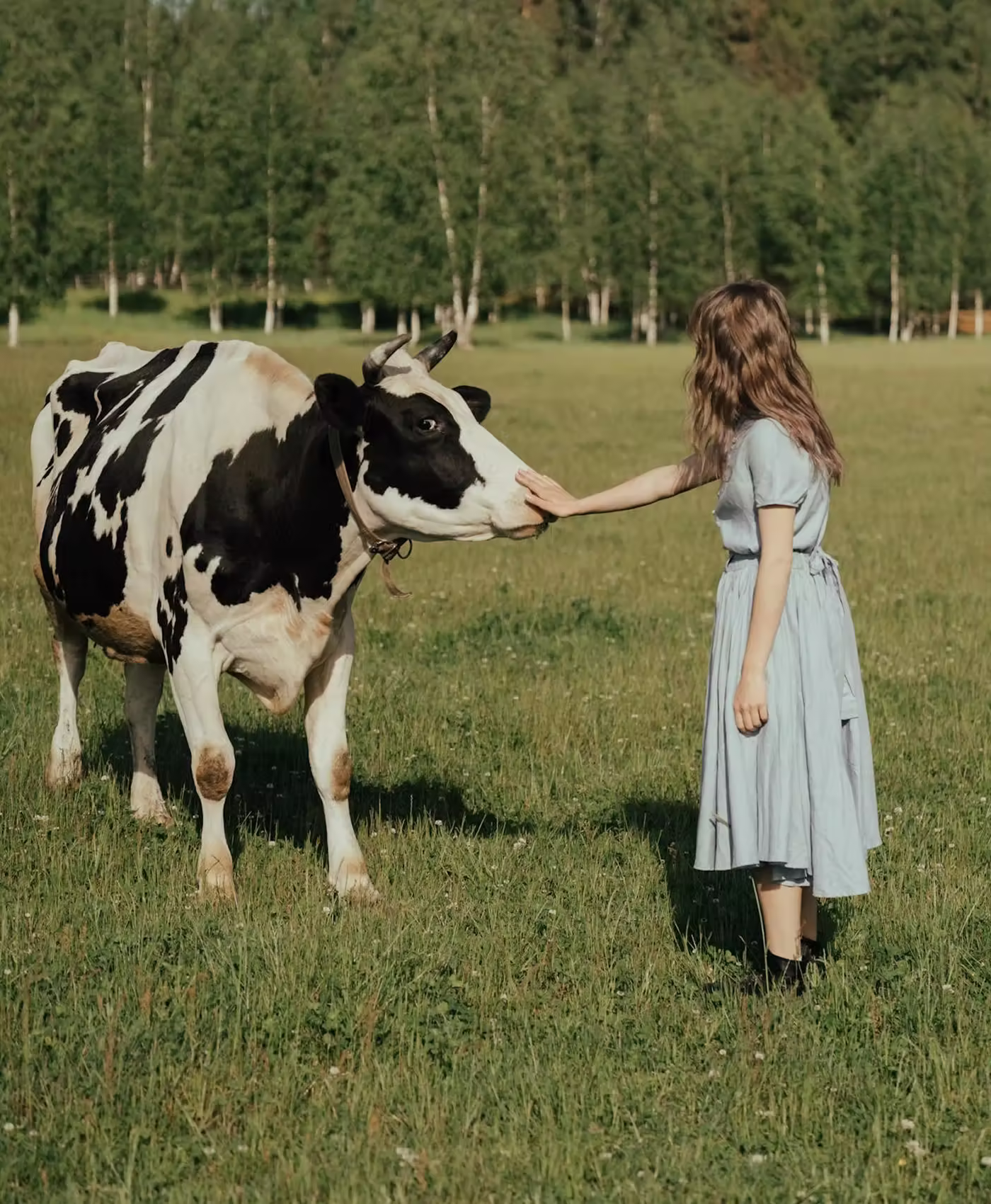 Girl in blue dress gently touching the nose of a black and white cow in a grassy field.