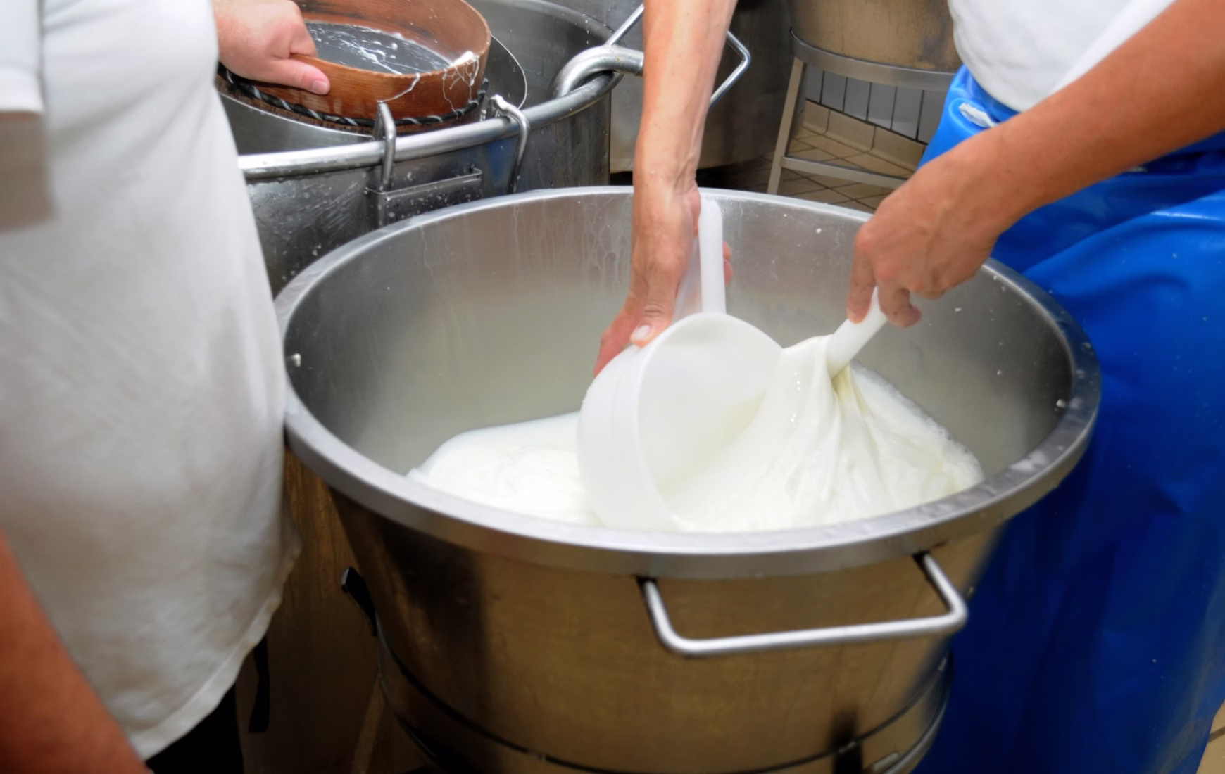 Two workers stirring fresh milk in a large stainless steel container in a dairy setting.
