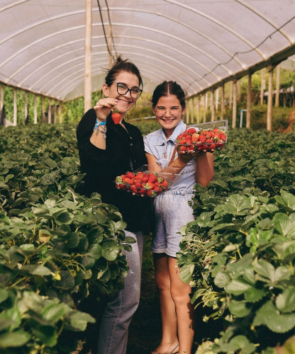 Two smiling females holding fresh strawberries in a greenhouse strawberry farm.