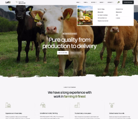 Three cows standing on grass with text about quality production and farming experience on a website page.