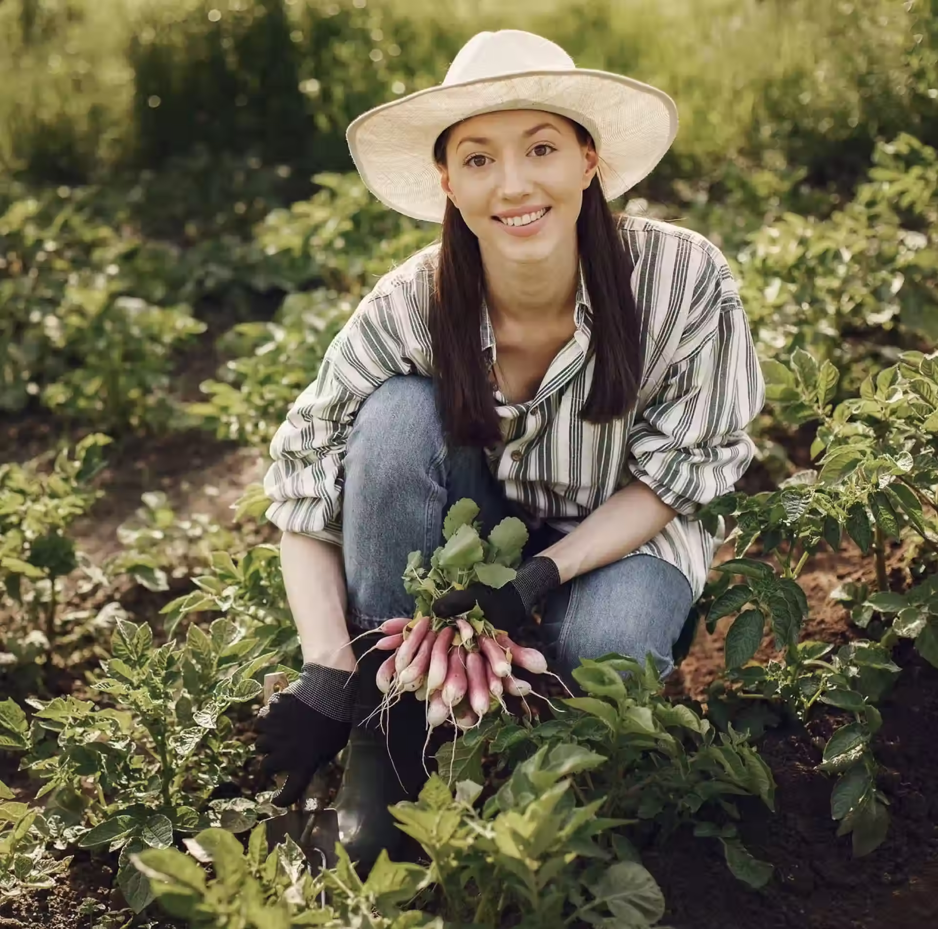 Farming (2)