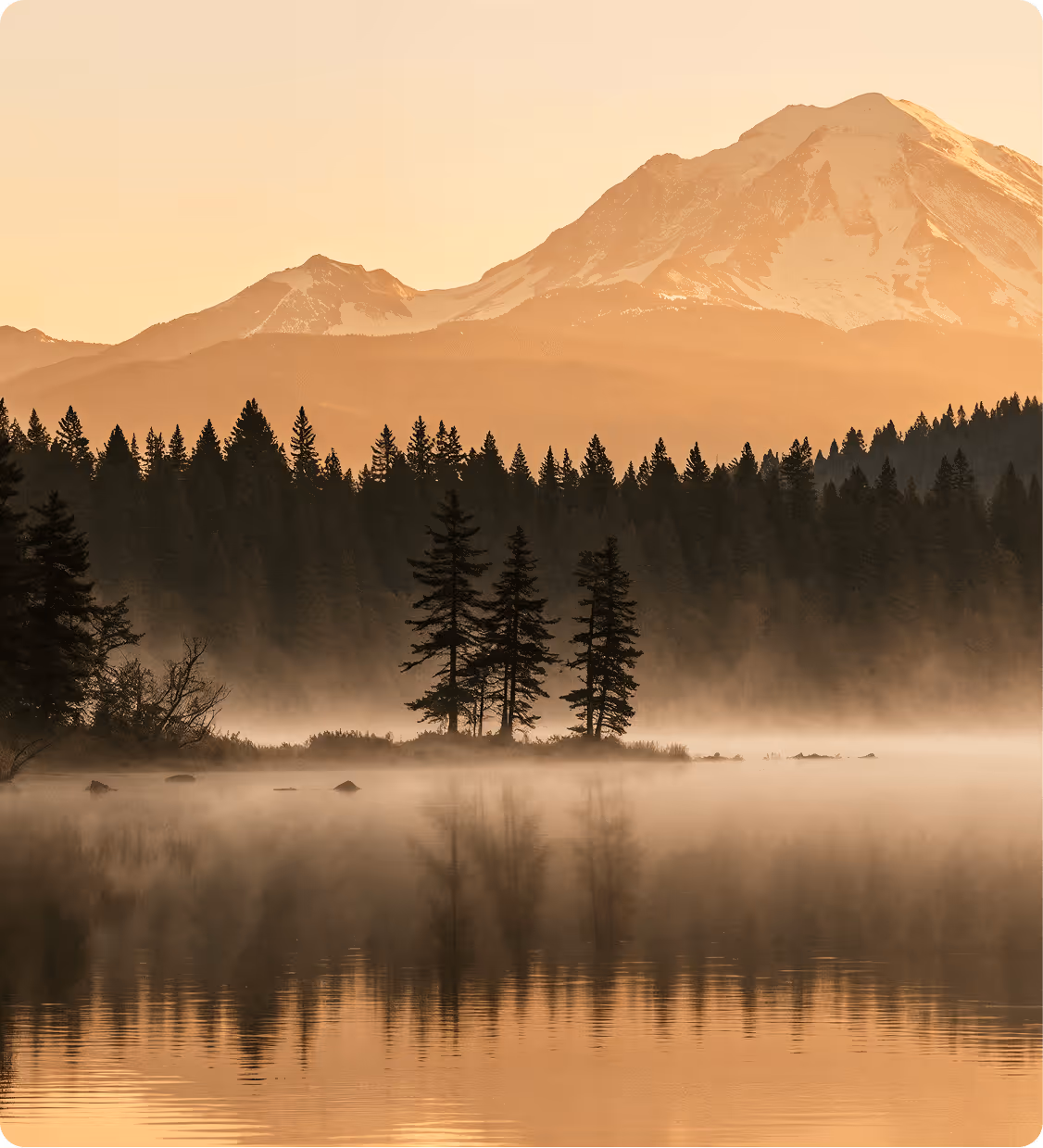 Mist rising over a calm lake with pine trees on a small island, dark forest in the background, and snow-capped mountain at sunrise.