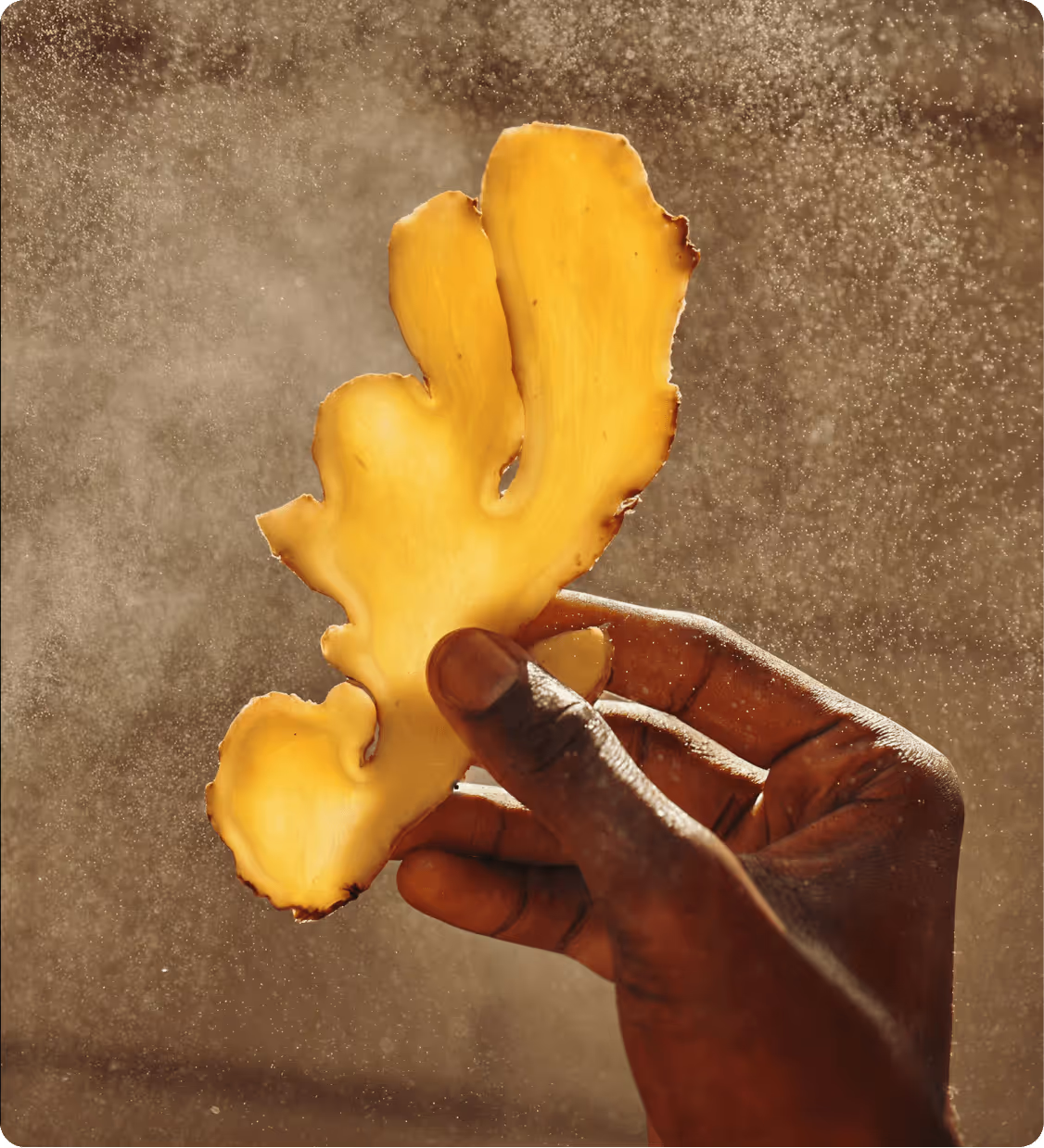 Hand holding a thin slice of fresh ginger root against a background of dispersed fine particles.