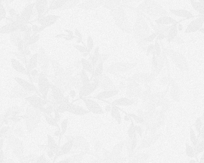 Data analysis showing financial growth metrics