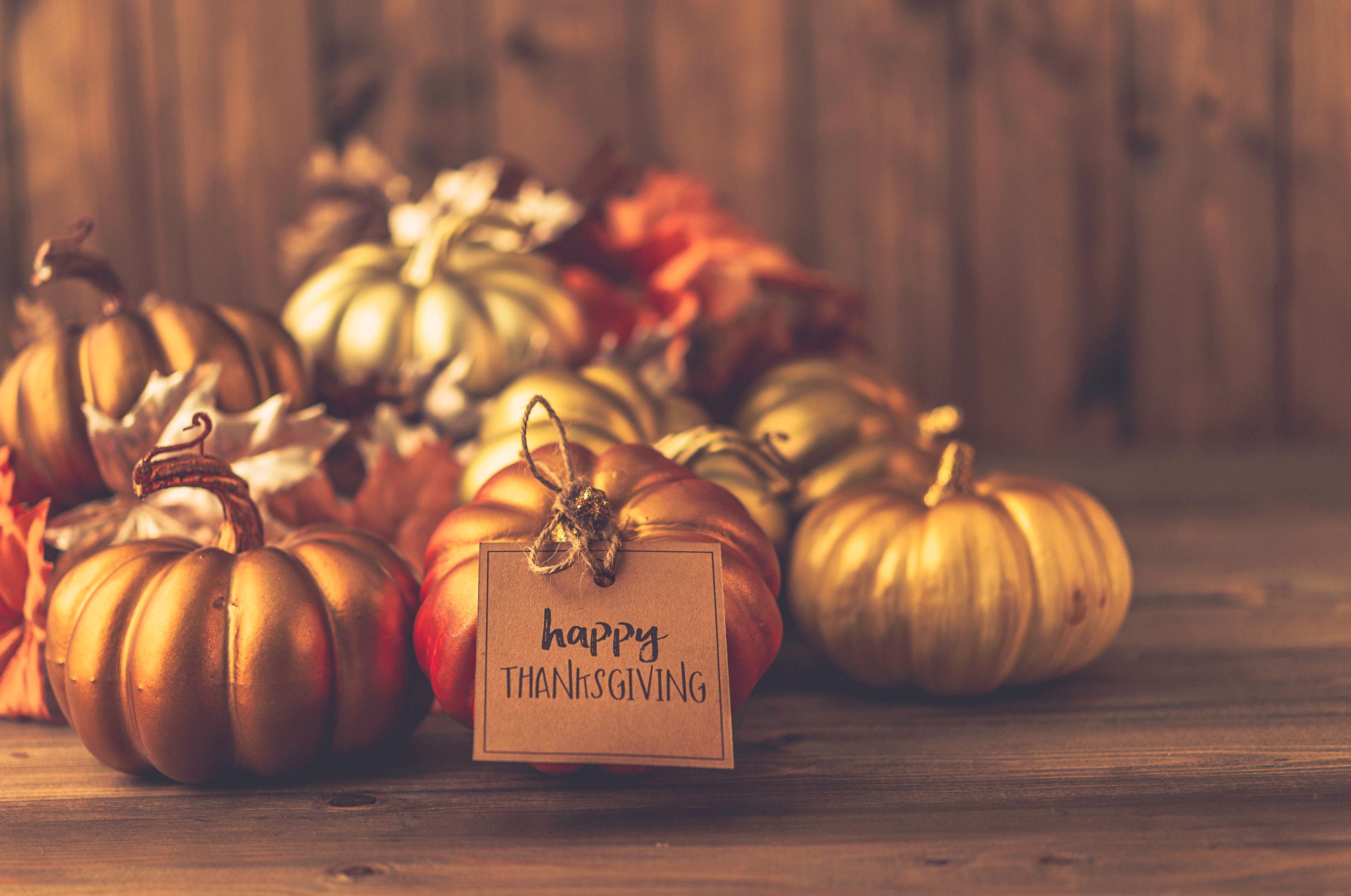 Financial peace of mind