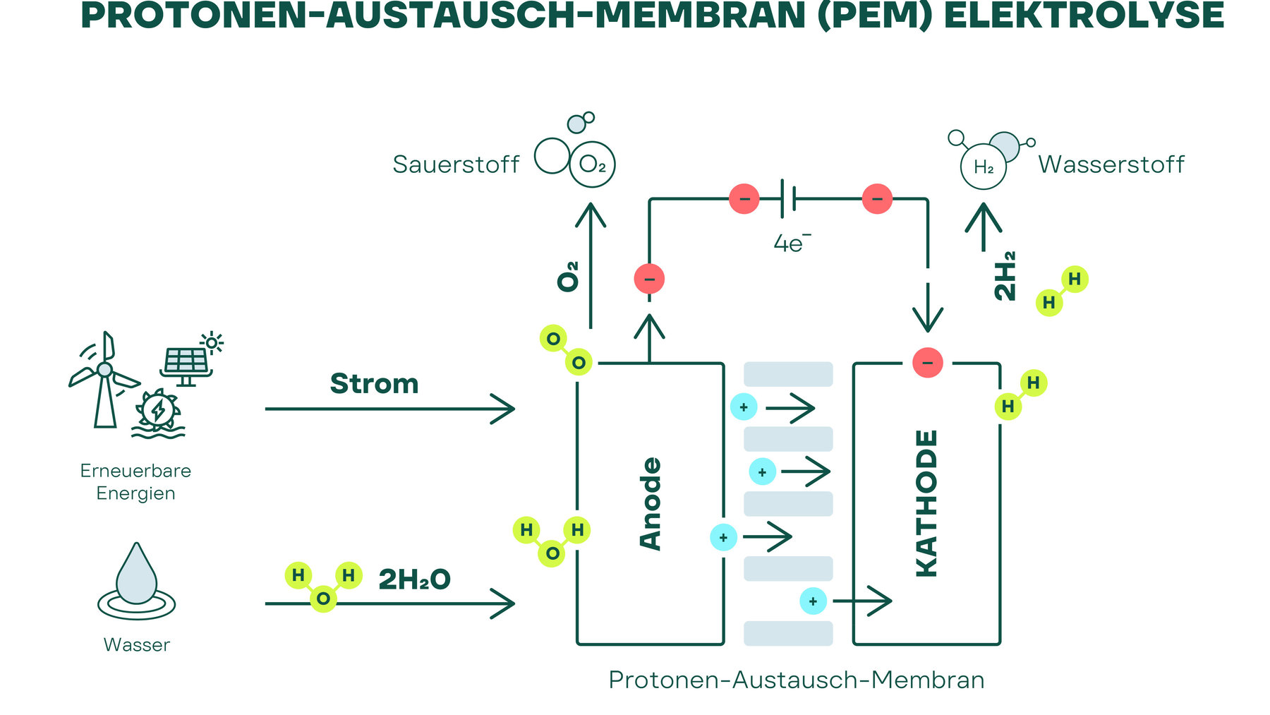 PEM oder AEL: