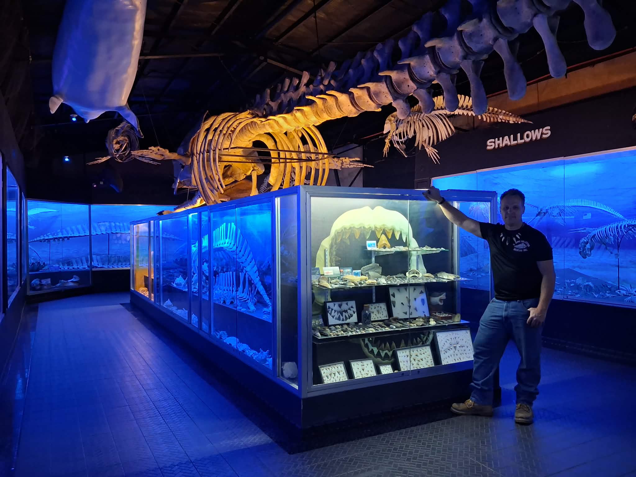 D' Bone Collector Museum Inc 