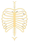 logo OsteoSAP format 100 144
