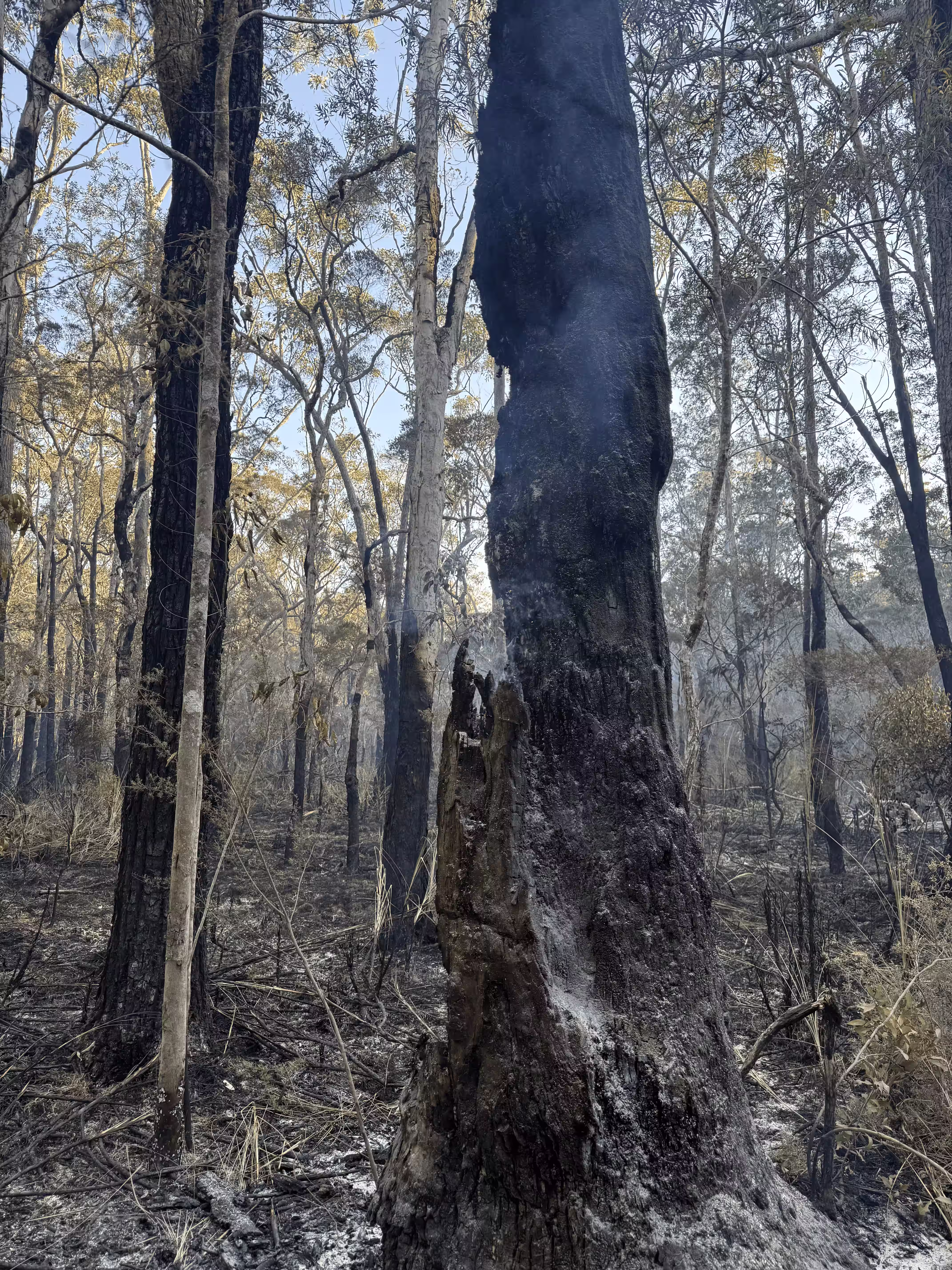 Fire and Hazard Management