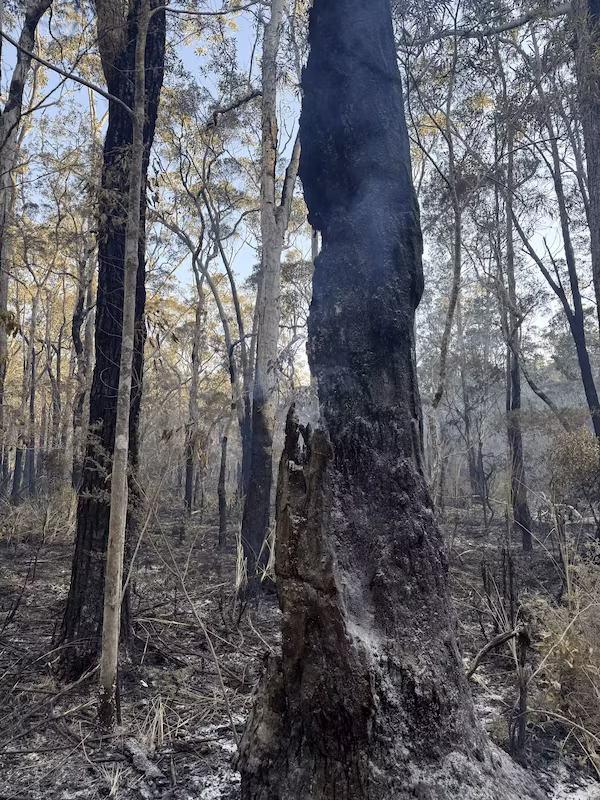 Fire and Hazard Management