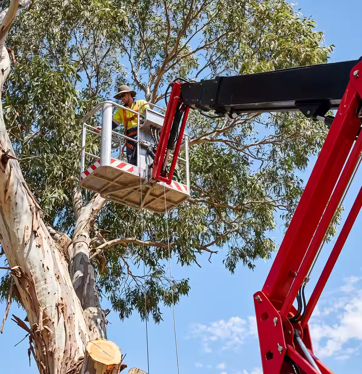 Worker in yellow safety gear trimming tree branches on a lift under a clear blue sky.