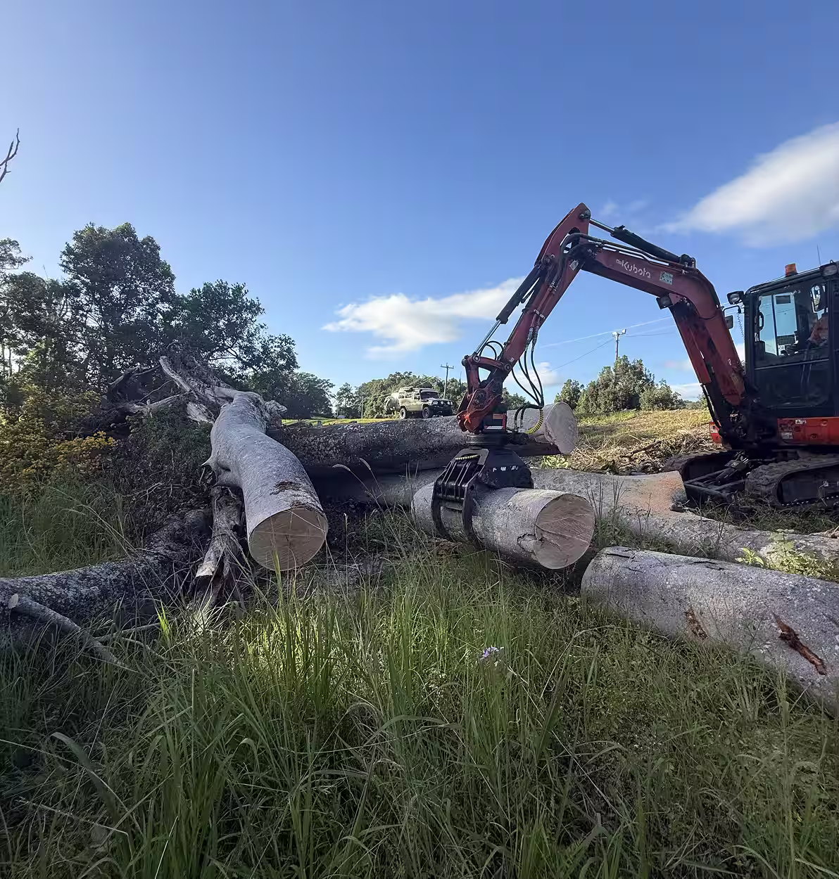 Excavator lifting large tree logs in grassy field under clear blue sky.