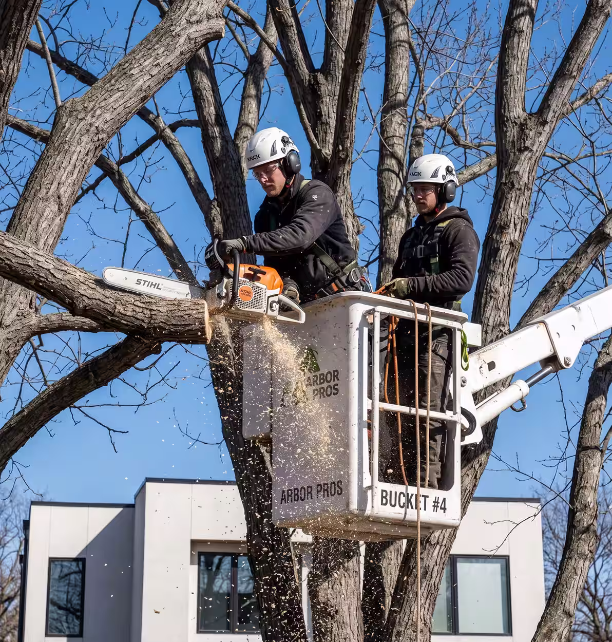 Two arborists in a bucket lift cutting a tree branch with chainsaw on a clear day.