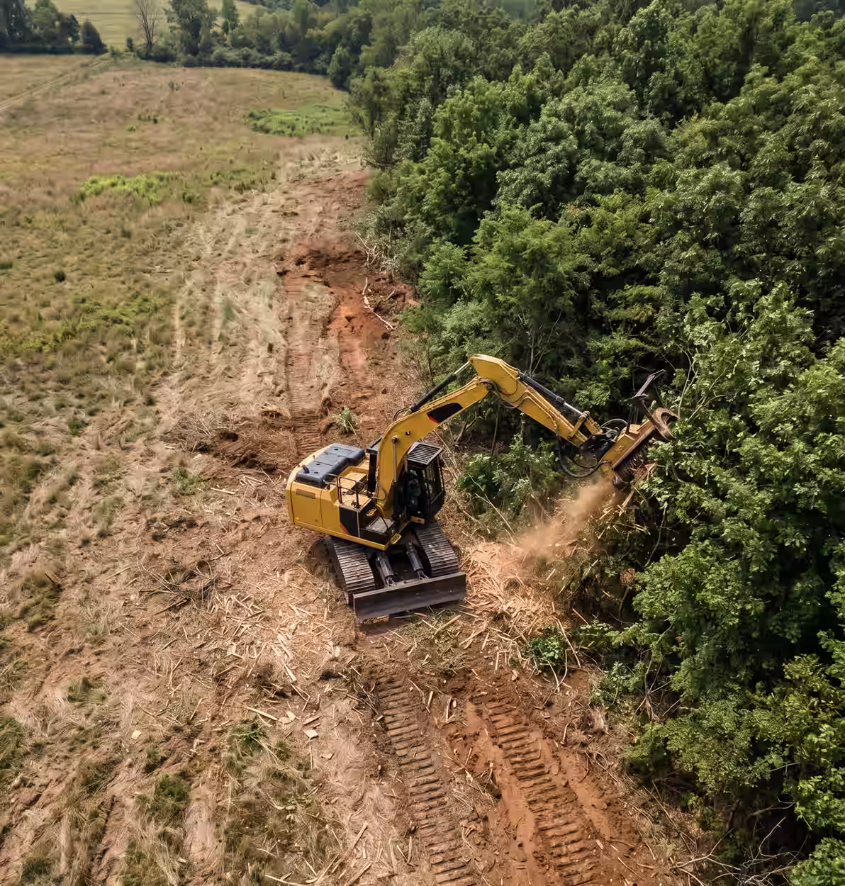 Yellow excavator clearing trees and vegetation at the edge of a dense forest along a dirt path.